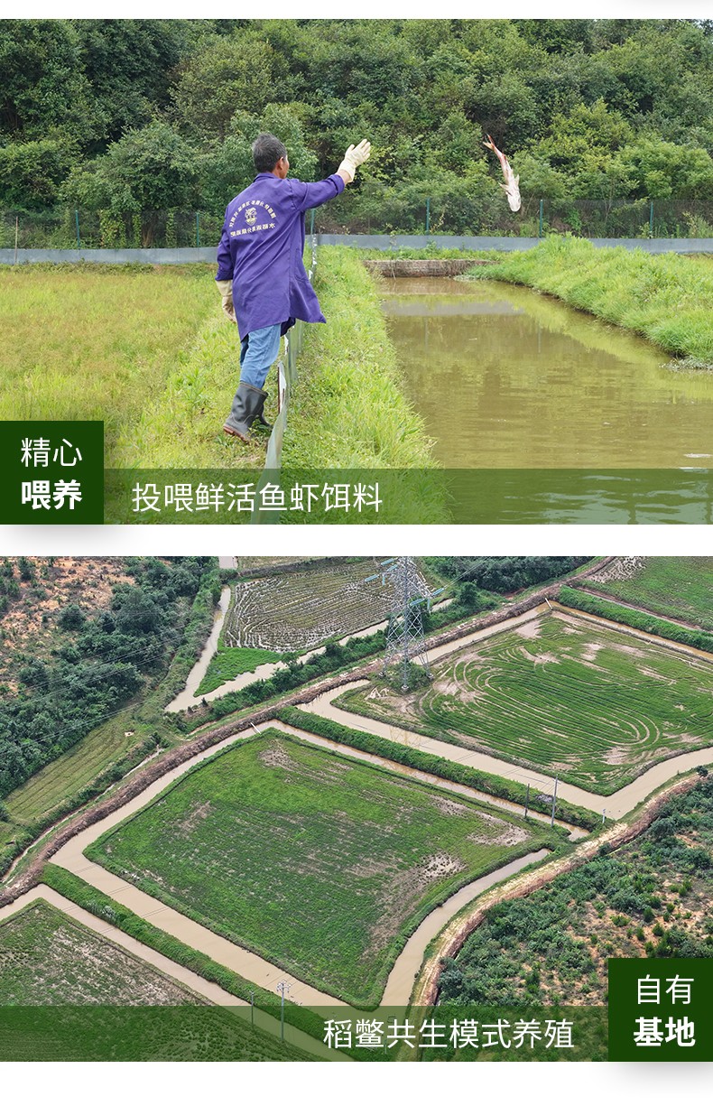 和萬安|生態農業|有機食品|綠色食品|稻田共養