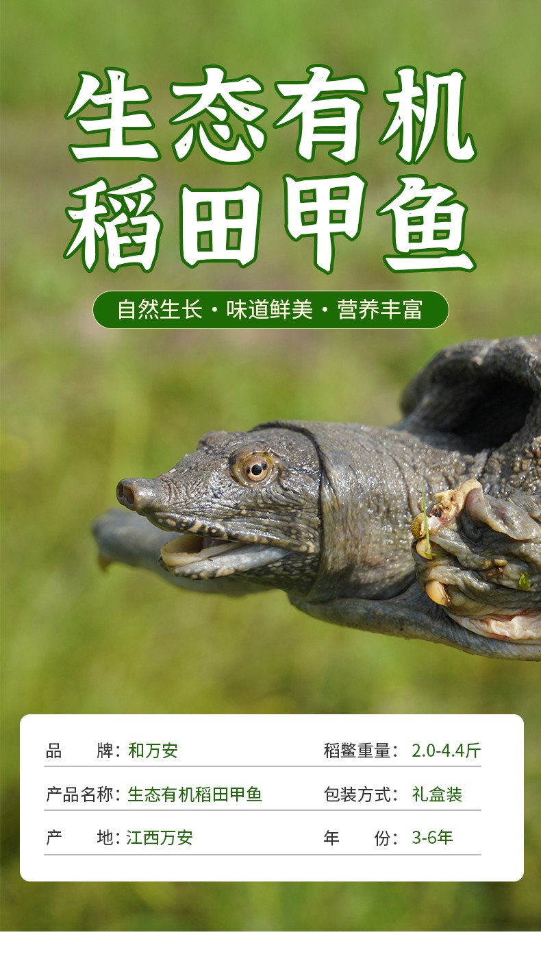 和萬安|生態農業|有機食品|綠色食品|稻田共養