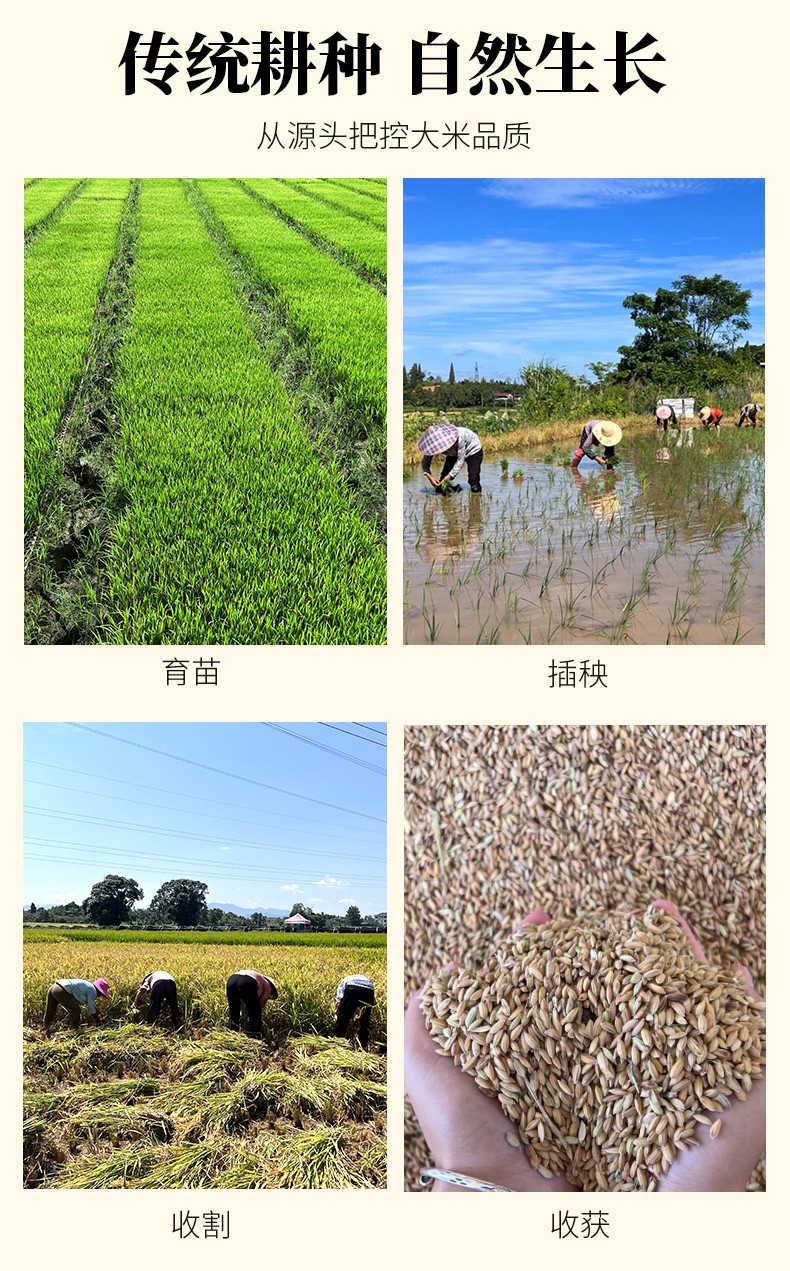 和萬安|生態農業|有機食品|綠色食品|稻田共養