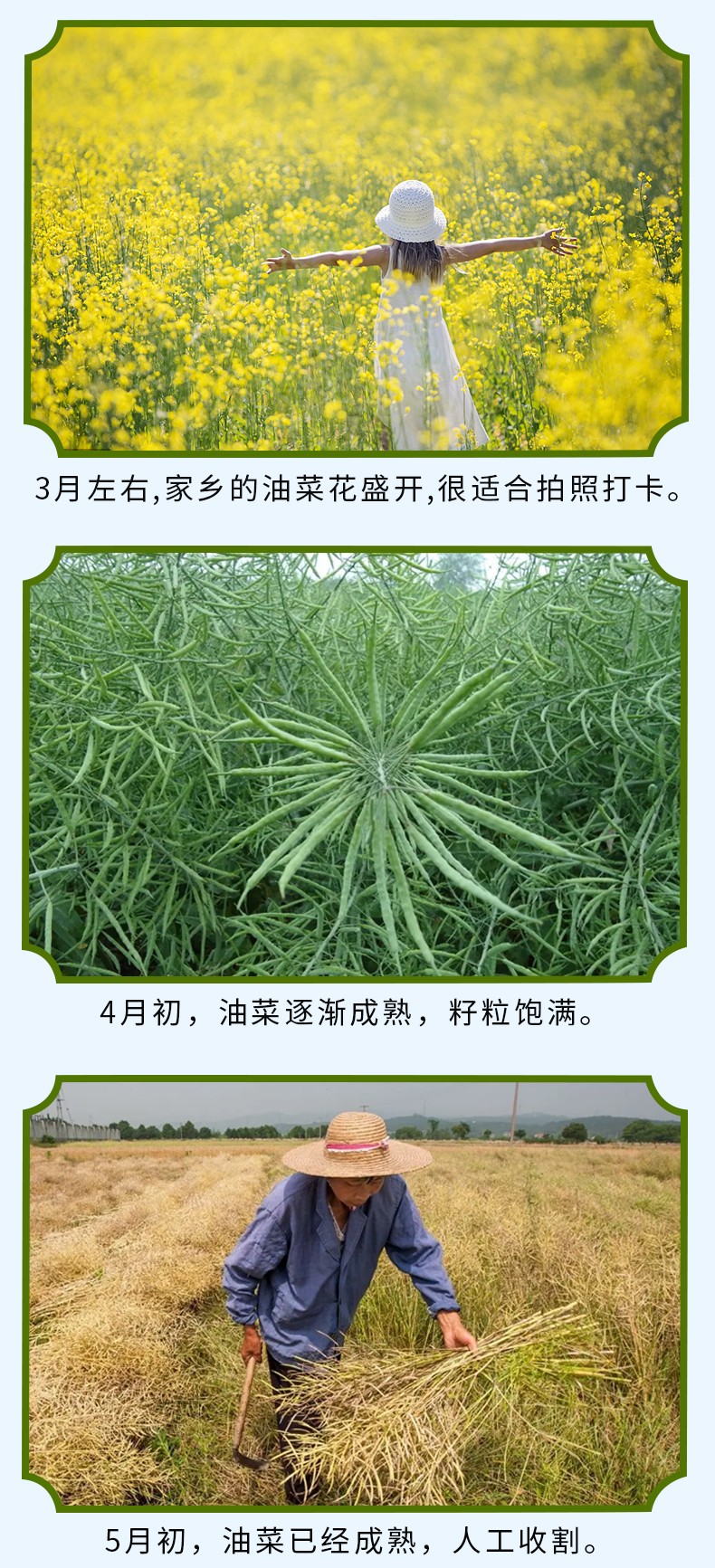 和萬安|生態農業|有機食品|綠色食品|稻田共養