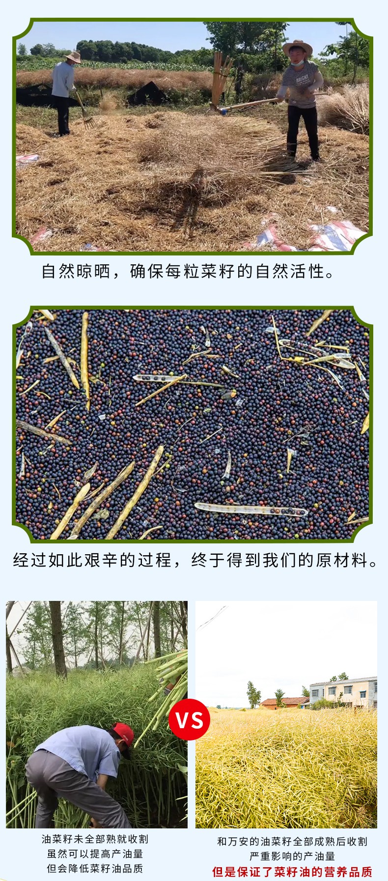 和萬安|生態農業|有機食品|綠色食品|稻田共養